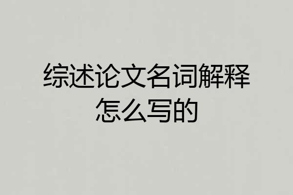 综述论文名词解释怎么写的