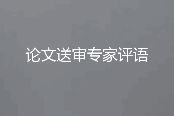 论文送审专家评语