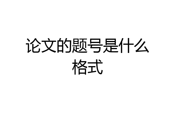 论文的题号是什么格式