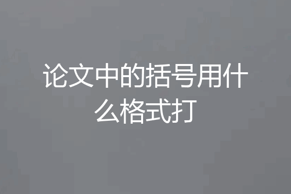 论文中的括号用什么格式打
