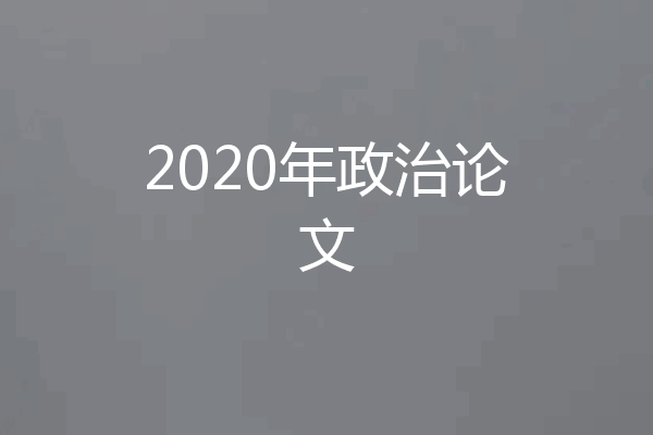 2020年政治论文