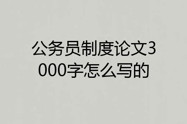 公务员制度论文3000字怎么写的