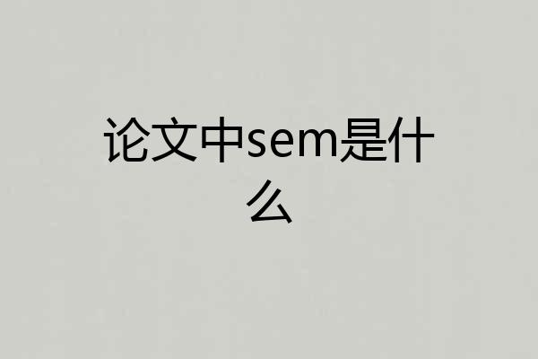 论文中sem是什么