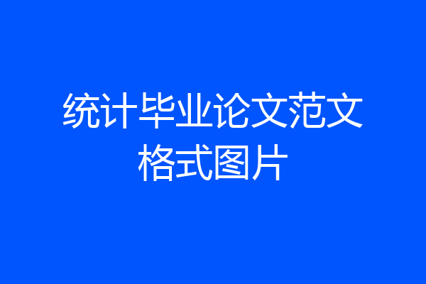 统计毕业论文范文格式图片