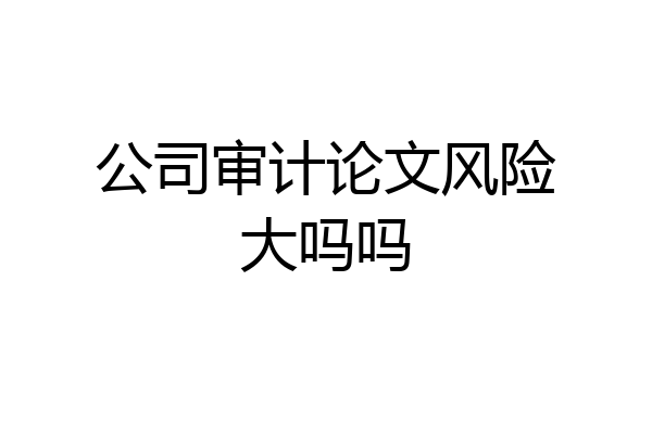 公司审计论文风险大吗吗