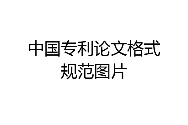 中国专利论文格式规范图片