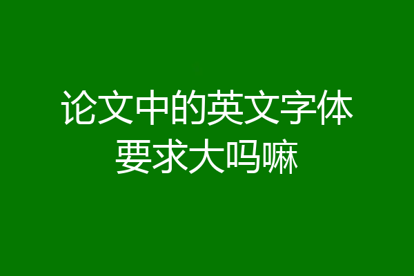 论文中的英文字体要求大吗嘛