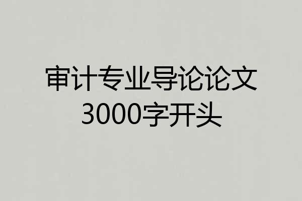 审计专业导论论文3000字开头