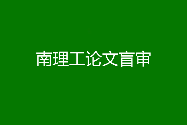南理工论文盲审