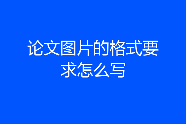 论文图片的格式要求怎么写