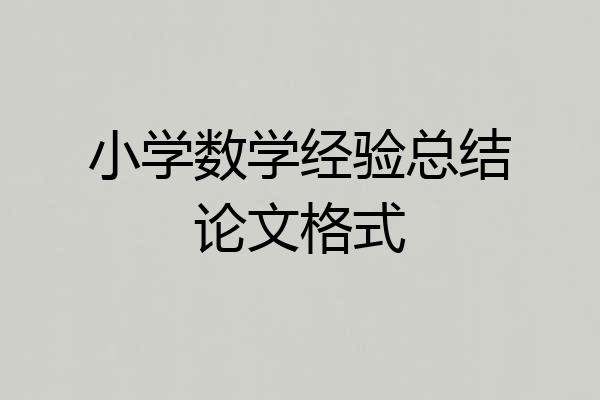 小学数学经验总结论文格式