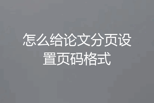 怎么给论文分页设置页码格式