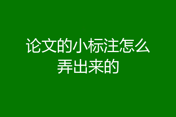论文的小标注怎么弄出来的