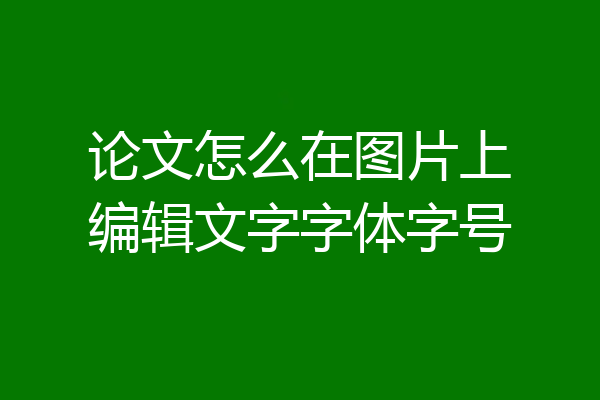 论文怎么在图片上编辑文字字体字号