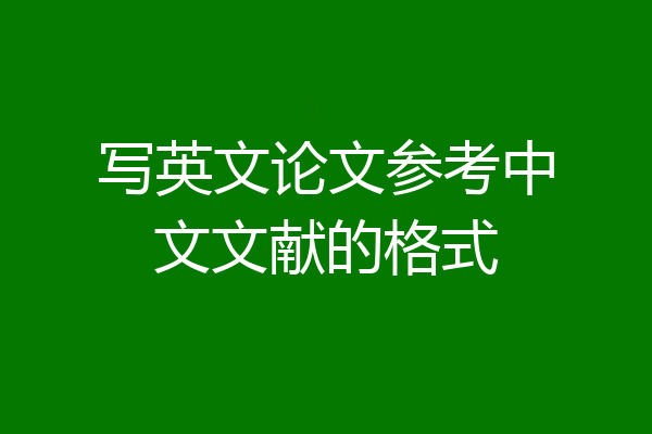 写英文论文参考中文文献的格式