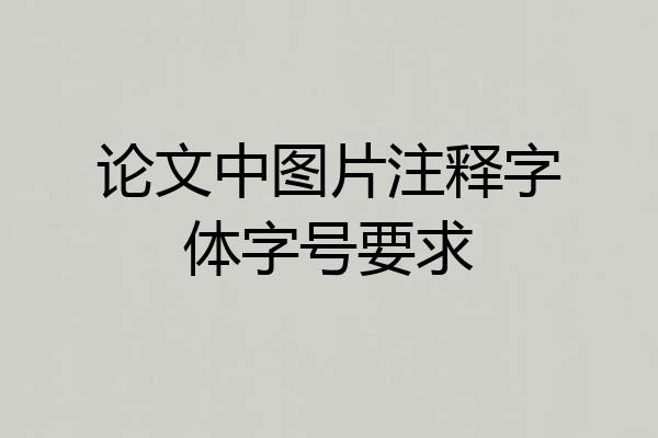 论文中图片注释字体字号要求