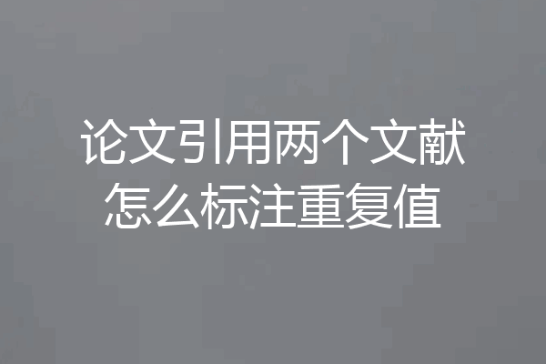 论文引用两个文献怎么标注重复值