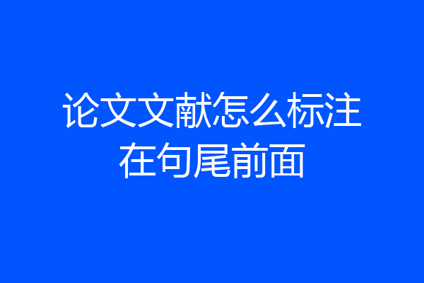 论文文献怎么标注在句尾前面