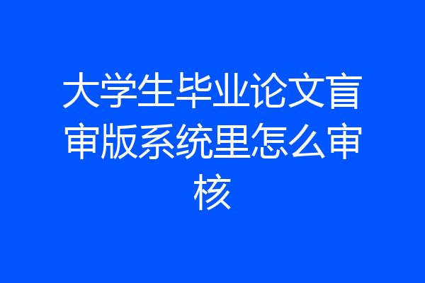大学生毕业论文盲审版系统里怎么审核