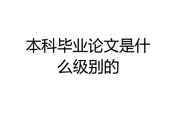 本科毕业论文是什么级别的
