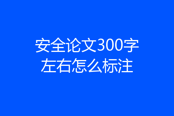 安全论文300字左右怎么标注