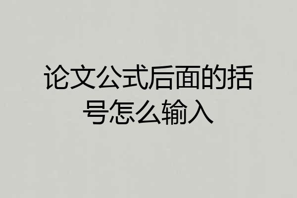 论文公式后面的括号怎么输入