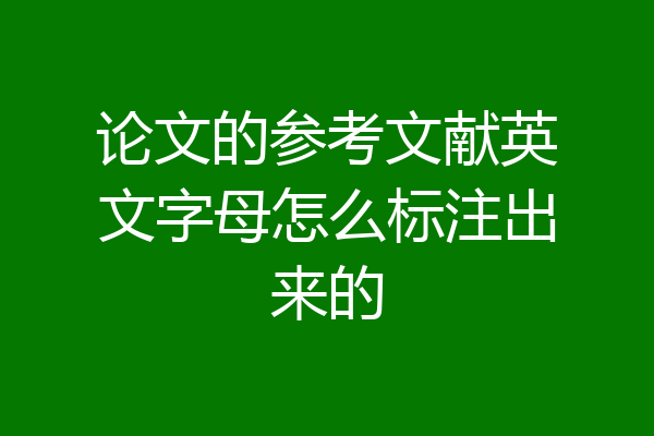 论文的参考文献英文字母怎么标注出来的