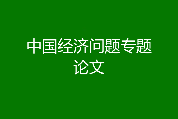 中国经济问题专题论文
