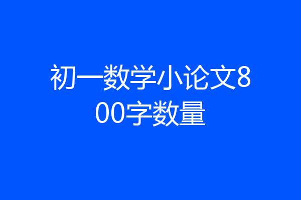 初一数学小论文800字数量
