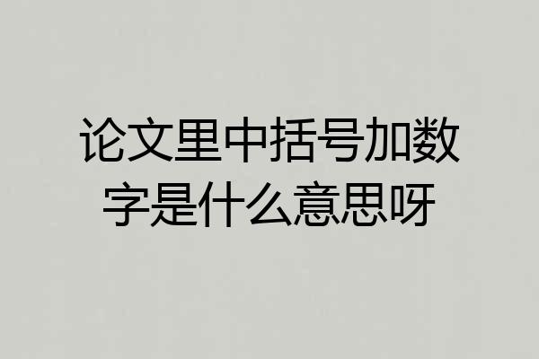 论文里中括号加数字是什么意思呀