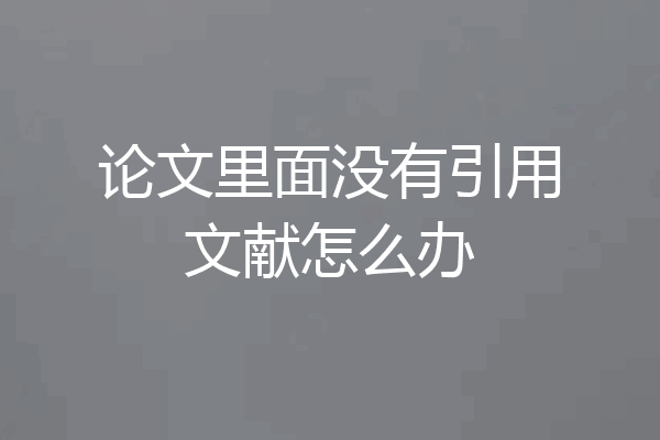 论文里面没有引用文献怎么办