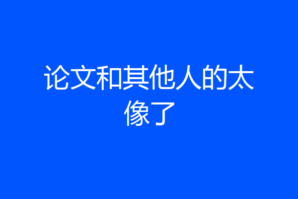论文和其他人的太像了