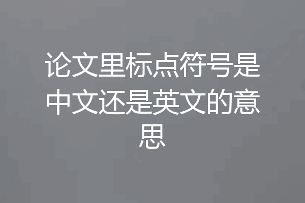 论文里标点符号是中文还是英文的意思