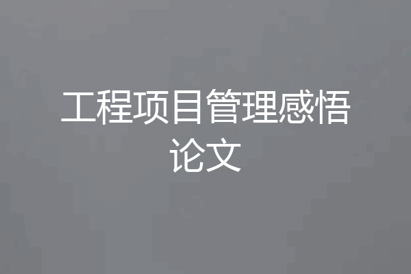 工程项目管理感悟论文