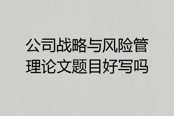 公司战略与风险管理论文题目好写吗