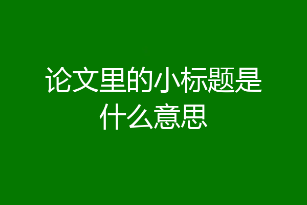 论文里的小标题是什么意思