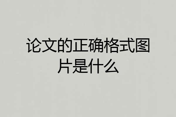 论文的正确格式图片是什么