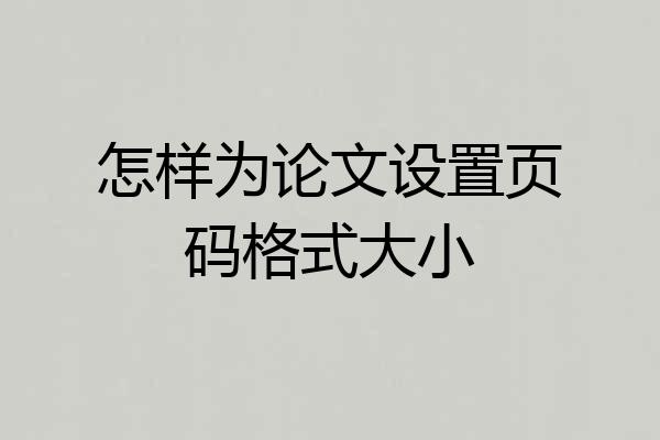怎样为论文设置页码格式大小