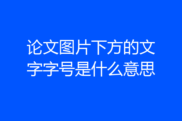 论文图片下方的文字字号是什么意思