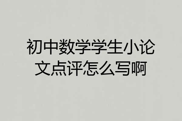 初中数学学生小论文点评怎么写啊