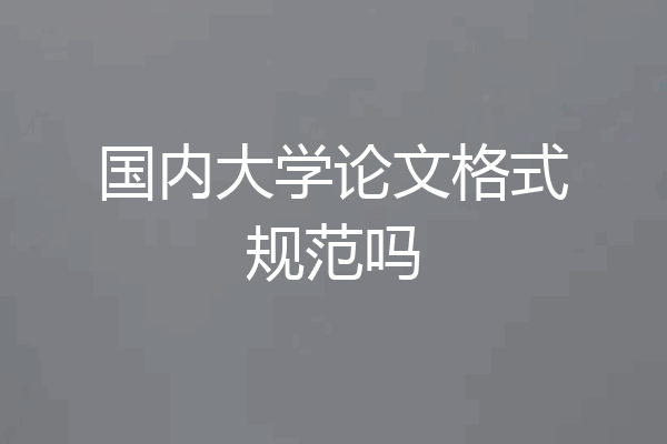 国内大学论文格式规范吗