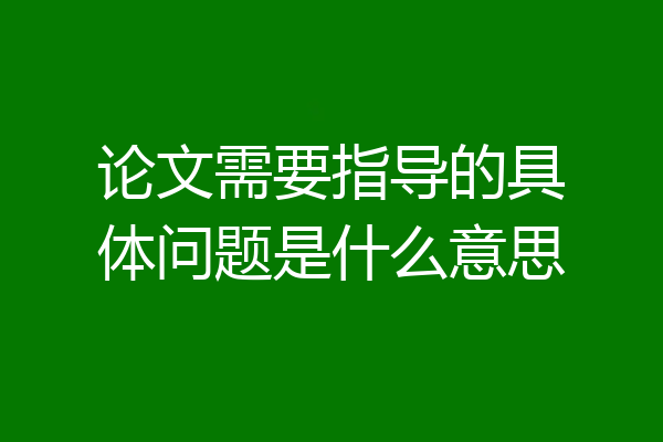 论文需要指导的具体问题是什么意思