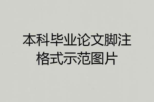 本科毕业论文脚注格式示范图片
