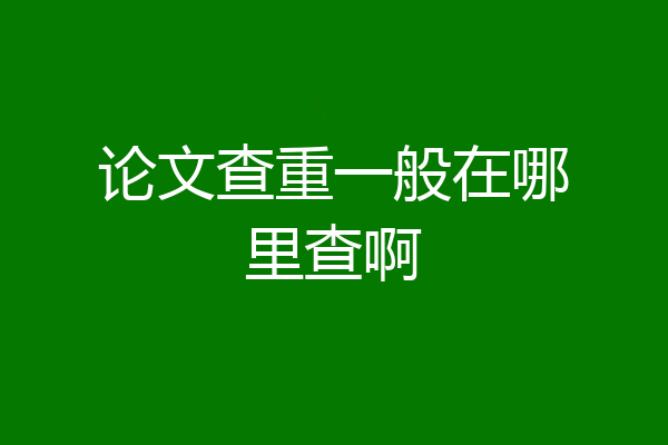 论文查重一般在哪里查啊