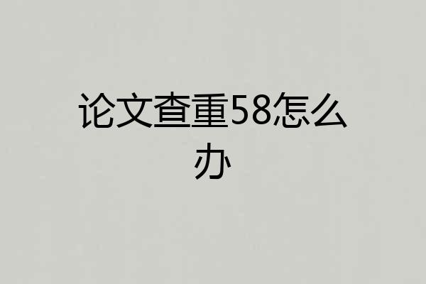 论文查重58怎么办