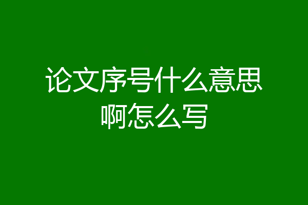 论文序号什么意思啊怎么写