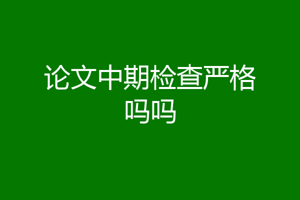论文中期检查严格吗吗