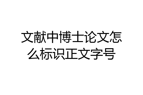文献中博士论文怎么标识正文字号