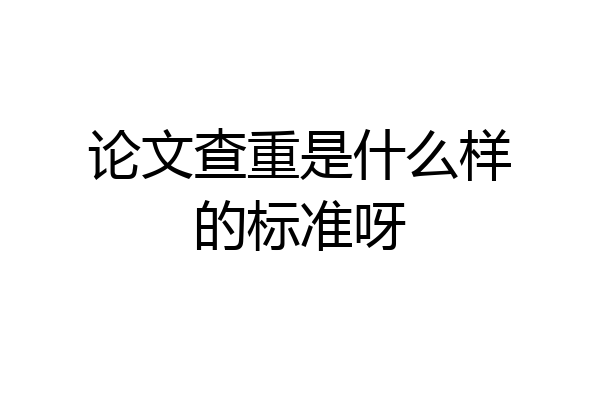 论文查重是什么样的标准呀