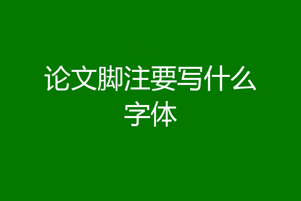论文脚注要写什么字体